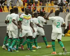 九州官方网站-塞内加尔国家队力克葡萄牙，挺进世界杯八强(塞内加尔国家队力克葡萄牙,挺进世界杯八强了吗)